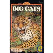 Promo/big cats