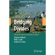 Bridging Divides