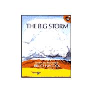 The Big Storm