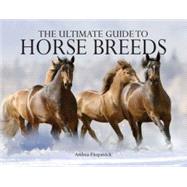 Ultimate Guide to Horse Breeds
