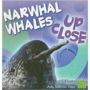Narwhal Whale Up Close
