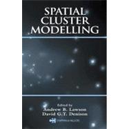 Spatial Cluster Modelling