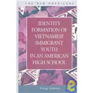 Identity Formation of Vietnamese Immigrant Youth in an American High School