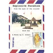 Explosive Paradise: From the Eyes of the Injured Book One: Title in Mind