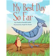 My Best Day So Far A story using the short vowel sounds in: bag, beg, big, bog and bug.