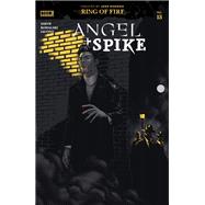 Angel & Spike #13