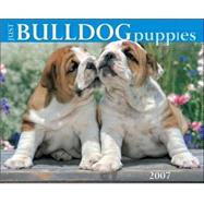 Just Bulldog Puppies 2007 Calendar