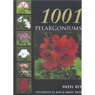 1001 Pelargoniums