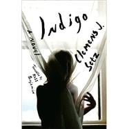 Indigo A Novel