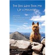 The Dog Who Took Me Up a Mountain