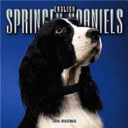 English Springer Spaniels 2004 Calendar