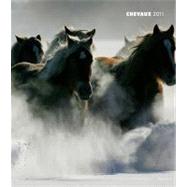 Chevaux 2011 Monthly Personal Planner