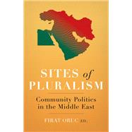 Sites of Pluralism Community Politics in the Middle East