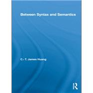 Between Syntax and Semantics