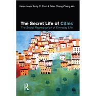 The Secret Life of Cities: Social reproduction of everyday life