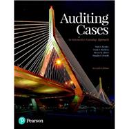 Auditing Cases: An Interactive Learning Approach