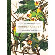 Wunderkammer An Exotic Journey Through Time