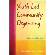 Youth-Led Community Organizing