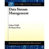 Data Stream Management