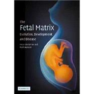 The Fetal Matrix: Evolution, Development and Disease