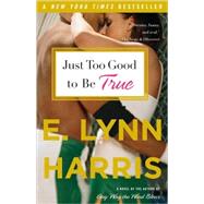 Just Too Good to Be True A Novel