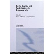 Social Capital and Participation in Everyday Life