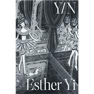 Y/N : A Novel book cover, ISBN 9781662602740