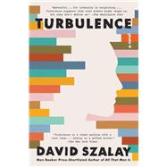 Turbulence A Novel