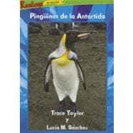 Pinguinos de la Antartida / Penguins of the Antarctic