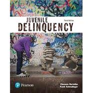 Juvenile Delinquency (Justice Series), 3rd edition - Pearson+ Subscription