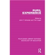 Pupil Experience