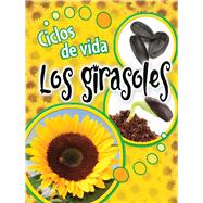 Ciclos de vida Los girasoles / Life Cycles of Sunflowers