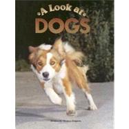 A Look at Dogs