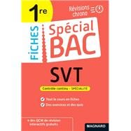 Spécial Bac : SVT - Première - Bac 2023 (Fiches)
