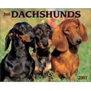 Just Dachshunds 2007 Calendar