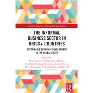The Informal Business Sector in BRICS+ Countries