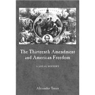 The Thirteenth Amendment And American Freedom