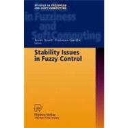 Stability Issues in Fuzzy Control