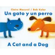 Un Gato Y Un Perro: A Cat And A Dog