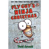 Fly Guy's Ninja Christmas (Fly Guy #16)