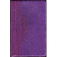 Holy Bible: King James Version, World's Visual Reference System, Purple Soft Touch