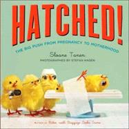 Hatched! The Big Push from Pregnancy to Motherhood