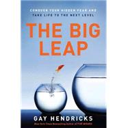 The Big Leap: Conquer Your Hidden Fear and Take Life to the Next Level