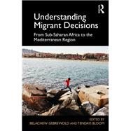 Understanding Migrant Decisions