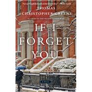 If I Forget You A Novel