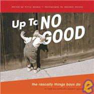 Up to No Good: The Rascally Things Boys Do As Told by Perfectly Decent Grown Men