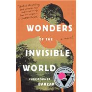 Wonders of the Invisible World