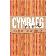 Cymraeg yn y Gweithle