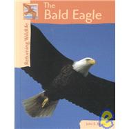 The Bald Eagle