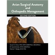 Avian Surgical Anatomy And Orthopedic Management